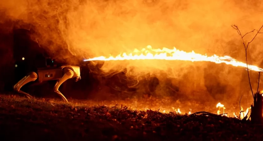 Zdjęcie: Thermonator/Throwflame