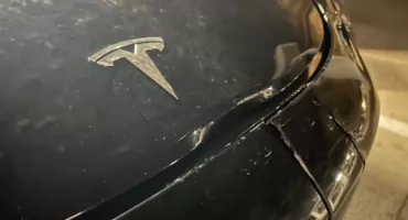Autonomiczna Tesla wjeżdża na pełnej w jelenia, zobacz film!