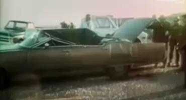 To jest dziwne: Historia wieloryba, który eksplodował, zobacz film